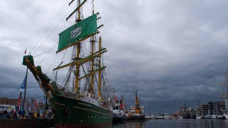 Die Alexander von Humboldt II