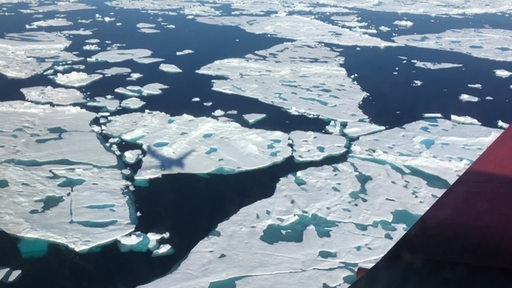 Eisschollen im Südpolarmeer, auf die der Schatten eines Flugzeugs fällt