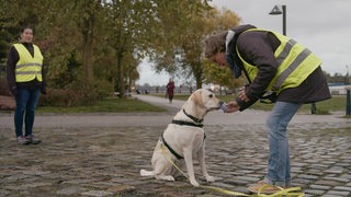 Eine Frau in Vegesack hält einem Hund einen Becher vor die Nase um ihm beizubringen, Menschen zu suchen.