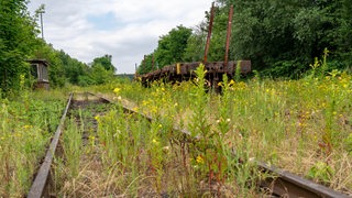 Stillgelegte Bahnstrecke mit Bewuchs