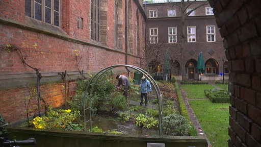 Der Bibelgarten an der Südwand des Bremer Doms. 