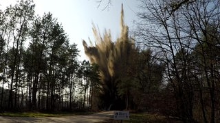 Ein Bombe in Bremen-Farge wird kontrolliert gesprengt, zu sehen ist eine große Rauchwolke hinter einem Waldgebiet.