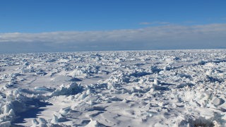 Eine geschlossene Eosdecke reicht bis zum Horizont, darüber blauer Himmel.