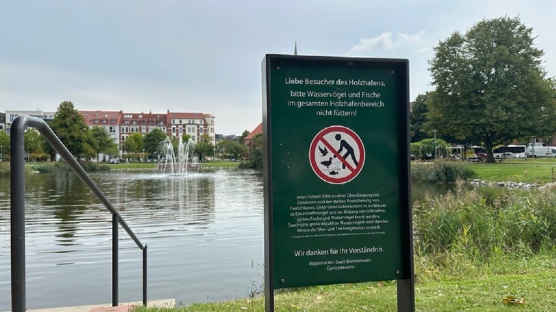 An einem Gewässer warnt ein Schild vor dem Entenfüttern.