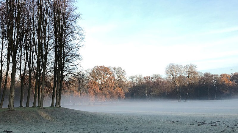 Während die Sonne aufgeht, zieht der Nebel durch den Bürgerpark in Bremen.