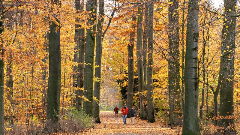 Spaziergänger im herbstlichen Bürgerpark