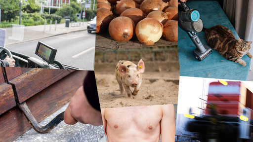 Eine Collage verschiedener kurioser Polizeieinsätze.