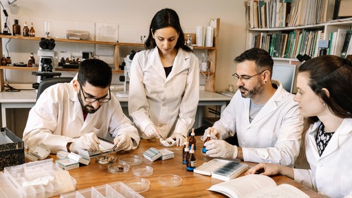 Laborteam von jungen Forschenden der Biowissenschaften im Laborraum.