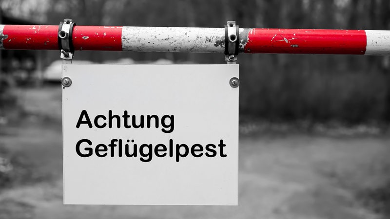 Ein Schild an einer Schranke warnt vor Geflügelpest.