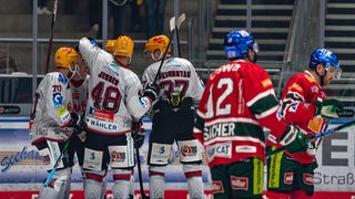 Eishockeyspieler der Fischtown Pinguins bejubeln ein Tor.