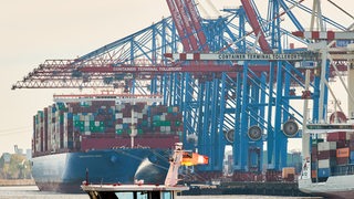 Ein Passagierschiff fährt an den Kränen und Containerschiffen im Hamburger Hafen am HHLA-Terminal Tollerort vorbei. 