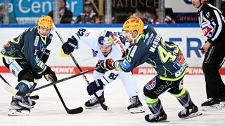 Eishockey-Spieler auf dem Eis.