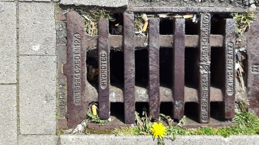 Der Einbrecher hat mit einem Gullydeckel die Fensterscheibe des Marktes eingeworfen.