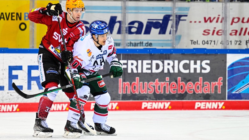 Markus Vikingstad (Fischtown Pinguins Bremerhaven, #37) im Zweikampf mit Sebastian Wannstroem (Augsburger Panther, #40) Fischtown Pinguins Bremerhaven gegen Augsburger Panther,