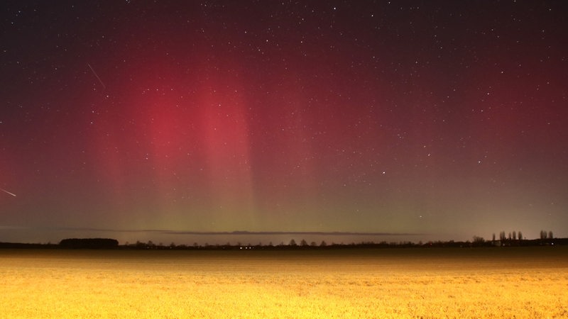 Polarlichter leuchten über Brandenburg auf dieser Nachtaufnahme mit Langzeitbelichtung.