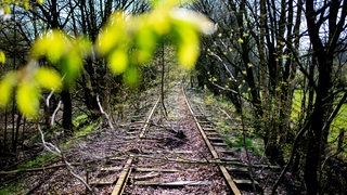 Eine stillgelegte Bahnstrecke in Niedersachsen.