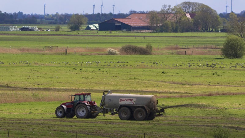 Ein Traktor fährt über ein Feld. Gülle spritzt aus einem Anhänger.