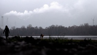 Eine Frau geht unter einer grauen Wolkendecke mit ihrem Hund am Stadtwaldsee entlang. 