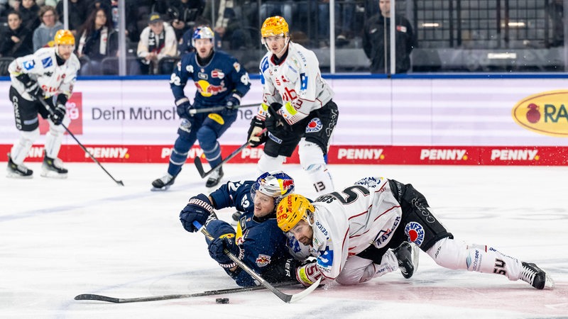 Eishockey-Spieler der Fischtown Pinguins und des EHC München kämpfen verbissen um den Puck, zwei Spieler rangeln auf dem Eis liegend darum.