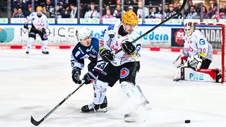 Eishockey-Spieler Fabian Herrmann kämpft auf dem Eis gegen einen Gegenspieler der Iserlohn Roosters.