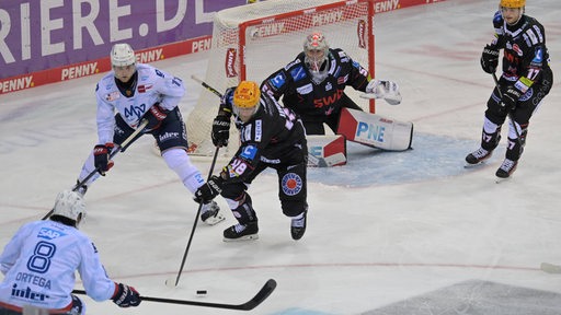 Eishockey-Spieler der Fischtown Pinguins verteidigen ihr Tor gegen Mannheimer Gegenspieler.