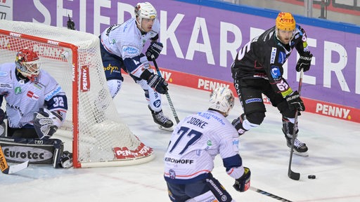 Ein Eishockeyspieler der Fischtown Pinguins führt den Puck eng am Schläger, während seine beiden Gegenspieler das eigene Tor abdecken.