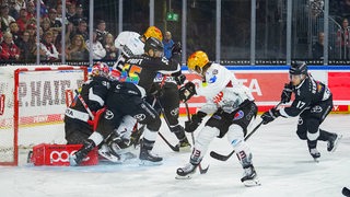 Die Fischtown Pinguins im Angriff gegen die Kölner Haie.