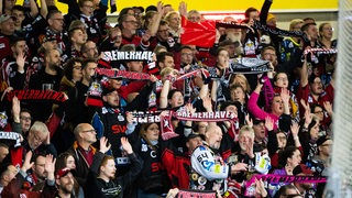 Fans der Fischtown Pinguins feiern auf der Tribüne.