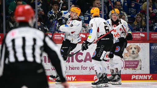 Jan Urbas und Christian Wejse bejubeln ein Tor der Fischtown Pinguins.