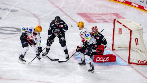 Die Fischtown Pinguins im Angriff gegen die Kölner Haie. 