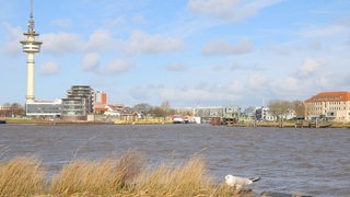 Blick auf die Skyline von Bremerhaven. Im Vordergrund sitzt eine Möwe.