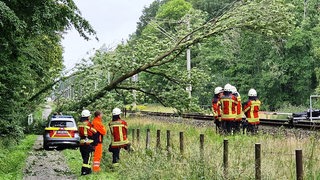 Einsatzkräfte der Feuerwehr stehen neben einem umgestürzten Baum über der gesperrten Bahnstrecke