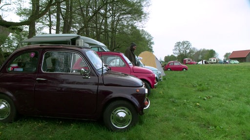 Das Fiat 500 Treffen in Oyten.