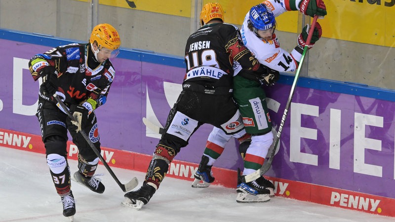 Ein Eishockeyspieler der Fischtown Pinguins drückt einen Augsburger an die Bande, während ein weiterer Bremerhavener sich den Puck schnappt.