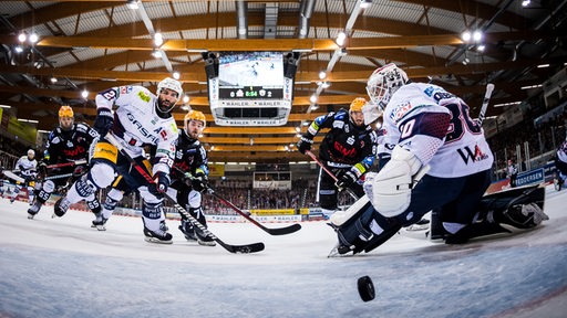 Der Puck rollt über die Linie der Eisbären Berlin.