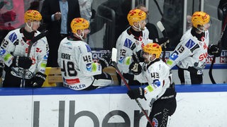 Mehrere Spieler der Fischtown Pinguins jubeln an der Bande über einen Treffer.