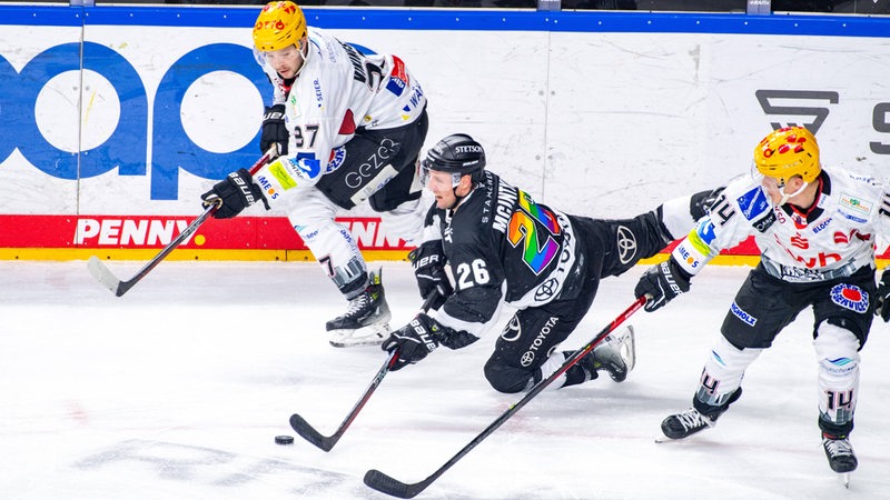 Zwei Spieler der Fischtown Pinguins stoppen einen Angreifer der Kölner Haie.