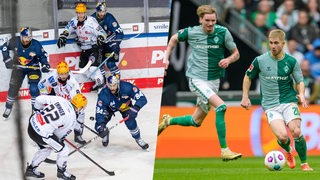 Collage zeigt die Fishtown Pinguins am 3.4.24 im Spiel gegen EHC München und die Werderspieler Romano Schmid und Nick Woltemade im Weserstadion (Spiel gegen VFL Wolfsburg) und n. 