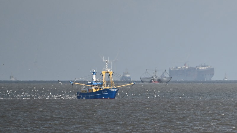 Blick auf den Autofrachter "Fremantle Highway" (Hintergrund) weit draußen auf der Nordsee vor Borkum. 