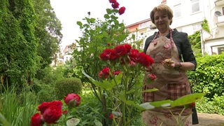 Eine Frau steht in einem Garten mit rot blühenden Rosen.