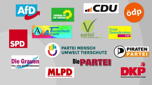 Die Logos einiger Politischer Parteien vor einem grauen Hintergrund