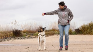 Eine junge Frau geht mit ihrem Hund am Strand spazieren.