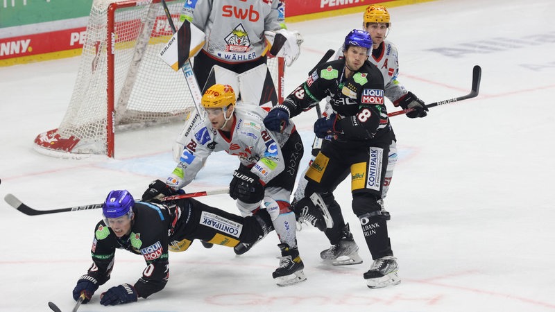 Die Spieler der Fischtown Pinguins und Eisbären Berlin kämpfen um den Puck.