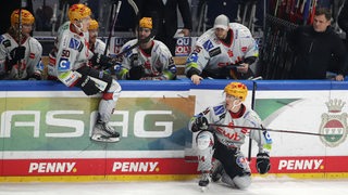 Spieler der Fischtown Pinguins an der Bande.