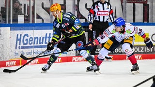 Phillip Bruggisser von den Fischtown Pinguins Bremerhaven gegen Maximilian Heim, Eisbären Berlin.