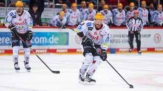 Eishockey-Spieler der Fischtown Pinguins beobachten von der Bande aus, wie Stürmer Jan Urbas einen Angriff startet.