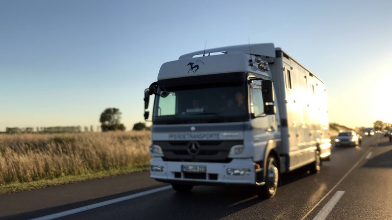 Ein Pferdetransporter fährt über eine Autobahn bei Abendsonne.