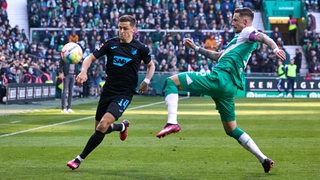 Marco Friedl im Zweikampf mit Hoffenheims Baumgartner.