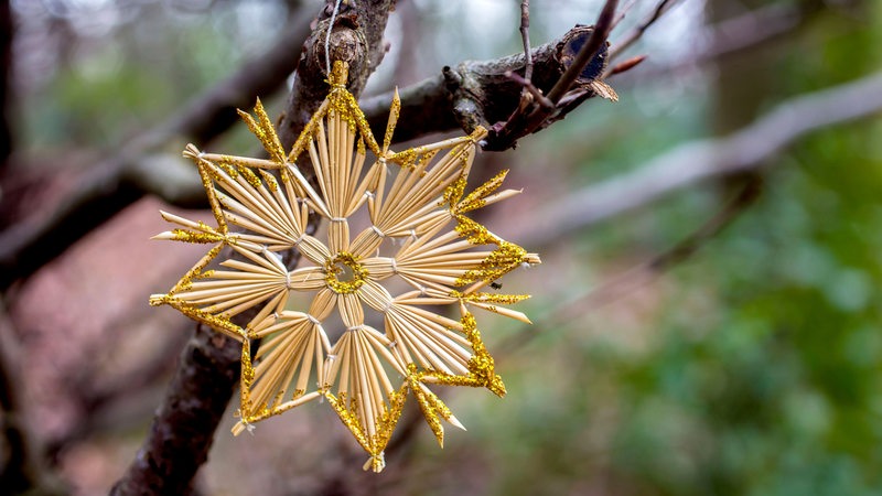 Weihnachtsschmuck hängt an einem Baum