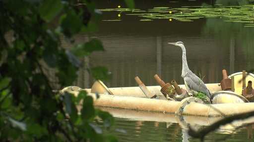 Ein Vogel sitzt auf einer Plattform in einem See